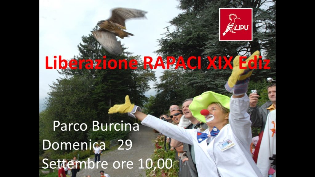 Liberazione dei Rapaci 2019 XIX Edizione